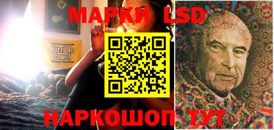 дмт Славгород
