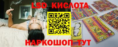 дмт Славгород