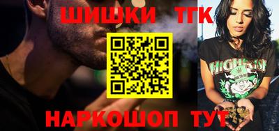 дмт Славгород