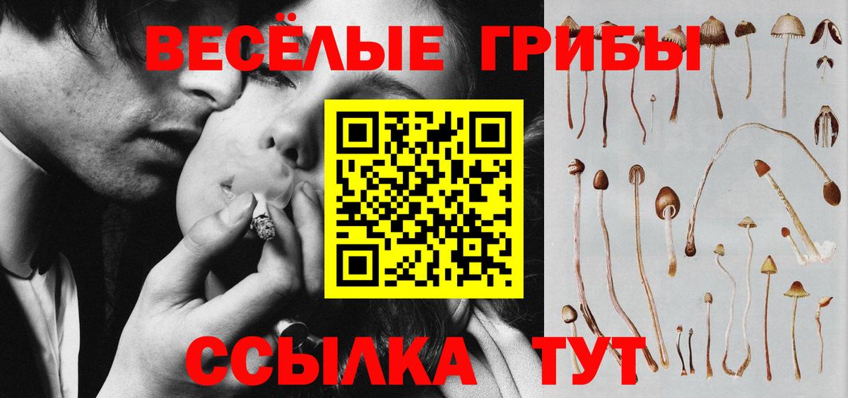Галлюциногенные грибы мицелий  Вход с VPN  Рузаевка 